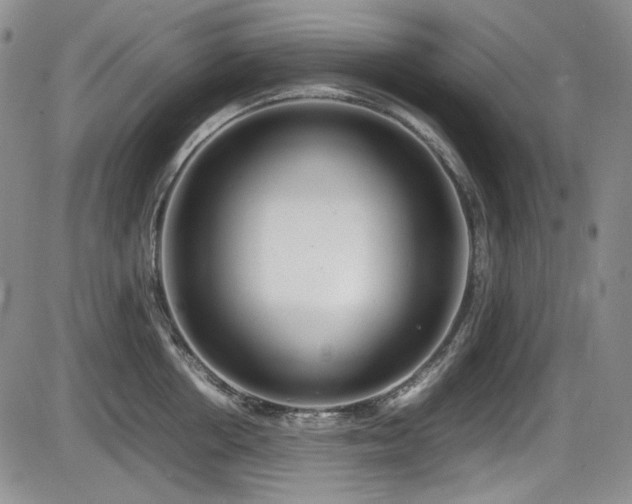 X0000086280858200703291459