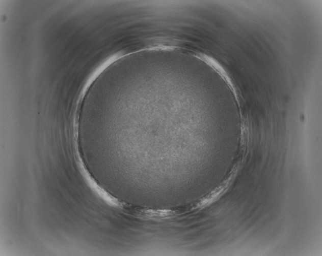 X0000086280859200703291459