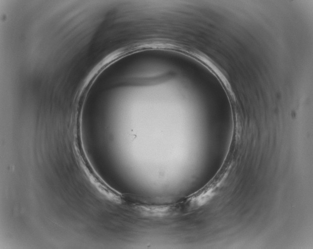 X0000086280861200703291459