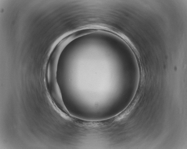 X0000086280862200703291459