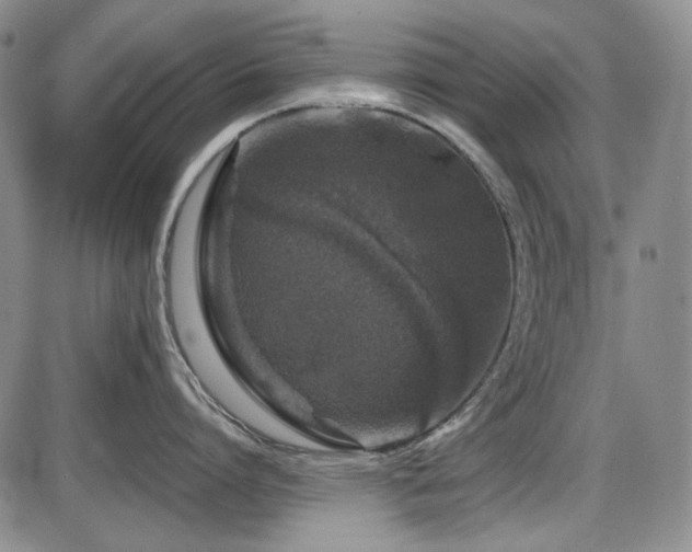 X0000086280864200703291459