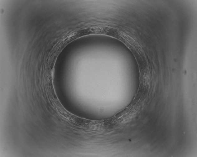 X0000086280865200703291459