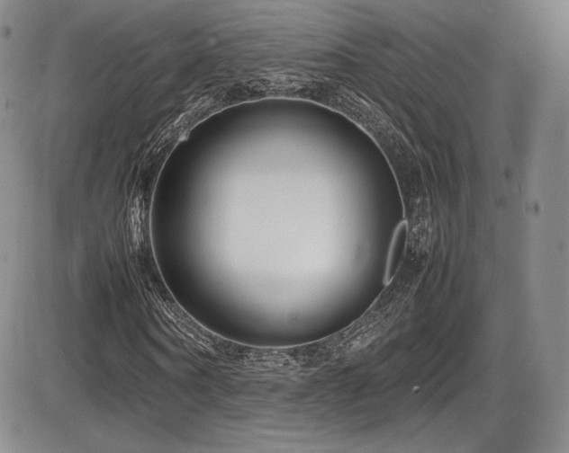 X0000086280866200703291459