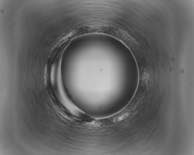 X0000086280868200703291459