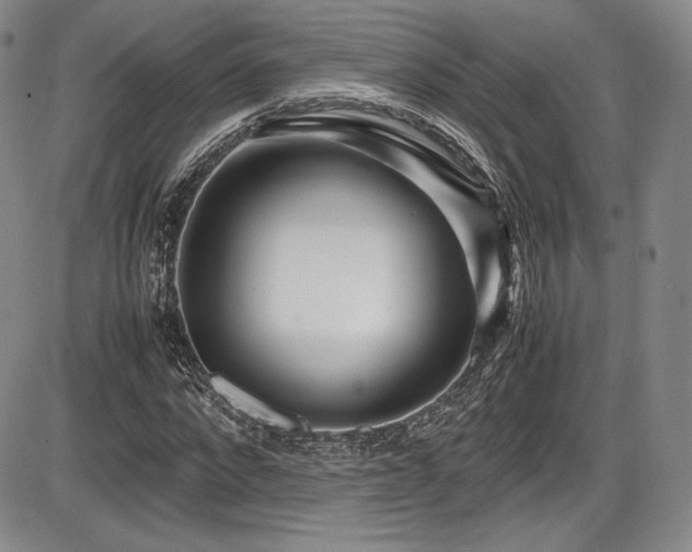 X0000086280872200703291458