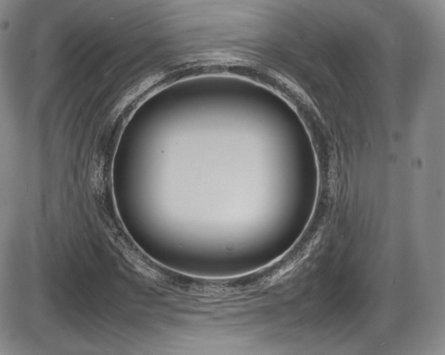 X0000086280873200703291458