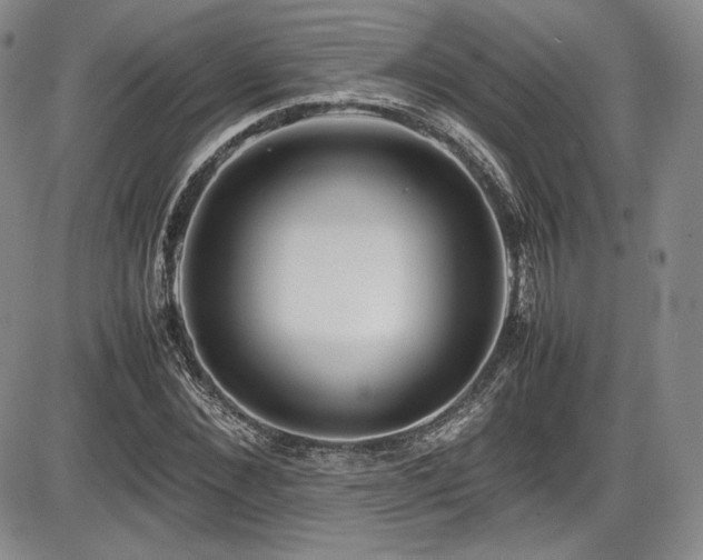 X0000086280876200703291458