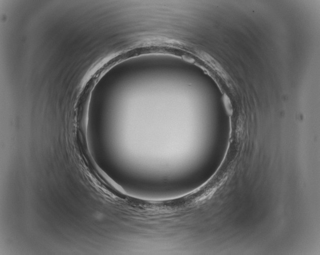 X0000086280877200703291458