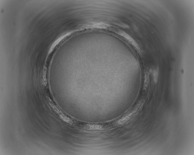 X0000086280878200703291458