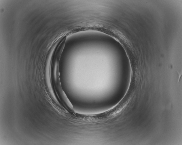 X0000086280881200703291458