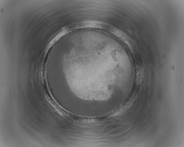 X0000086280882200703291458
