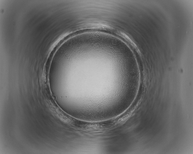 X0000086280883200703291458