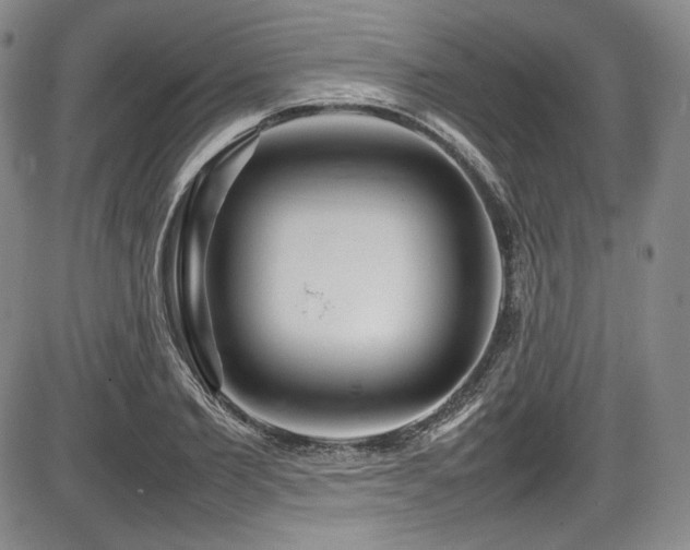 X0000086280885200703291458