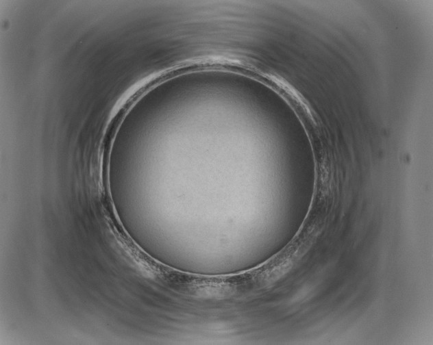 X0000086280886200703291458