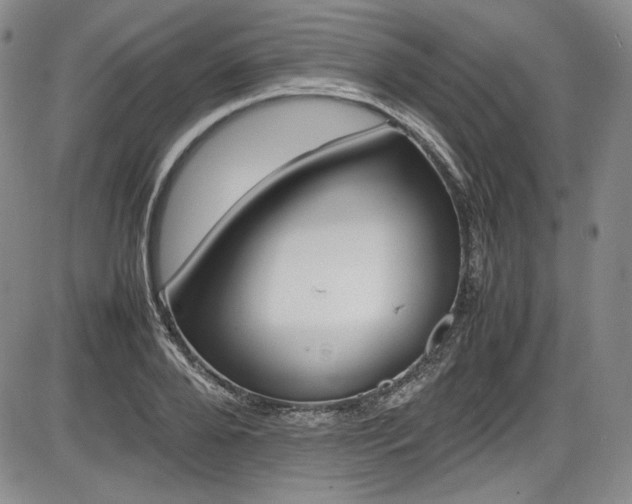 X0000086280888200703291458