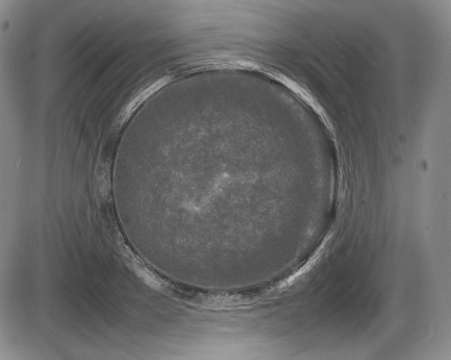 X0000086280889200703291458
