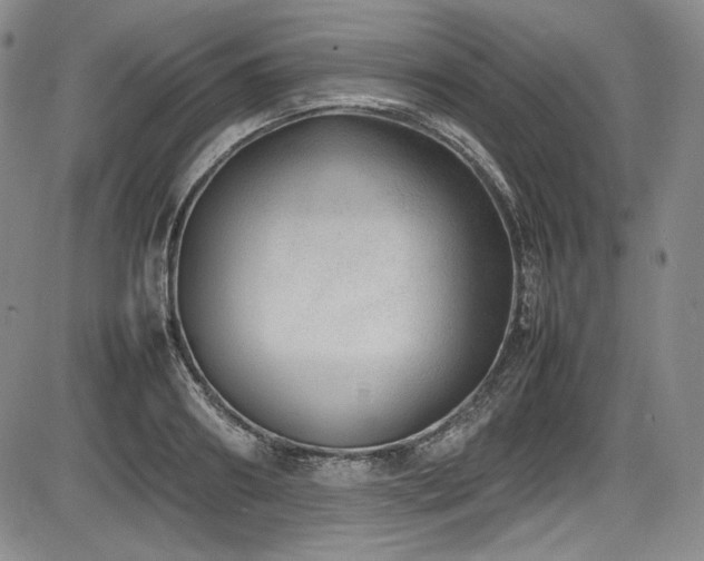 X0000086280890200703291458