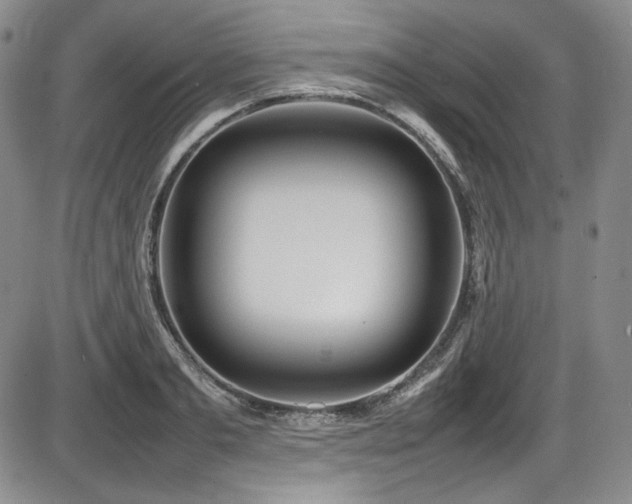 X0000086280893200703291458