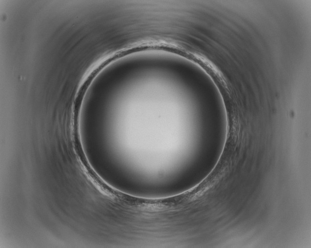 X0000086280894200703291458