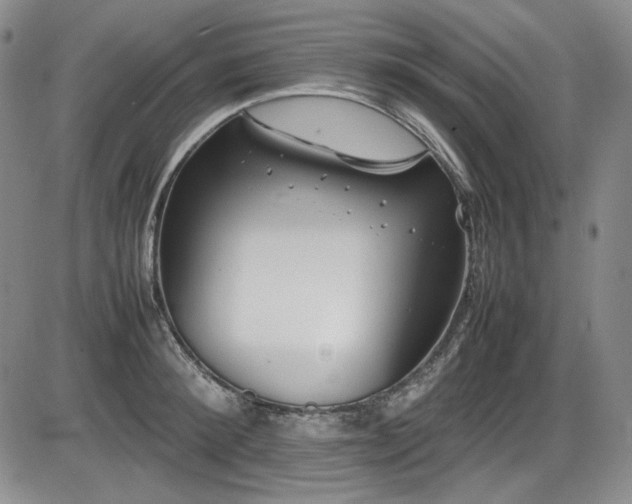 X0000086280900200703291458