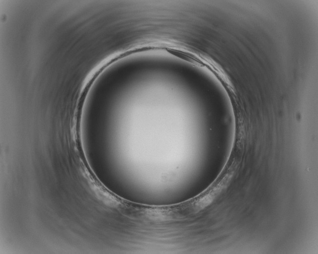 X0000086280904200703291458