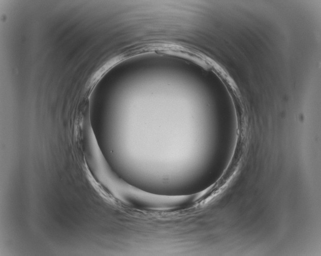 X0000086280905200703291458
