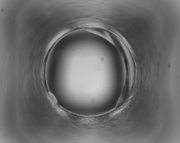 X0000086280909200703291458