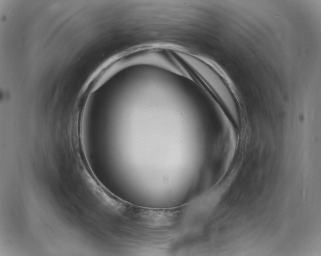 X0000086280910200703291458