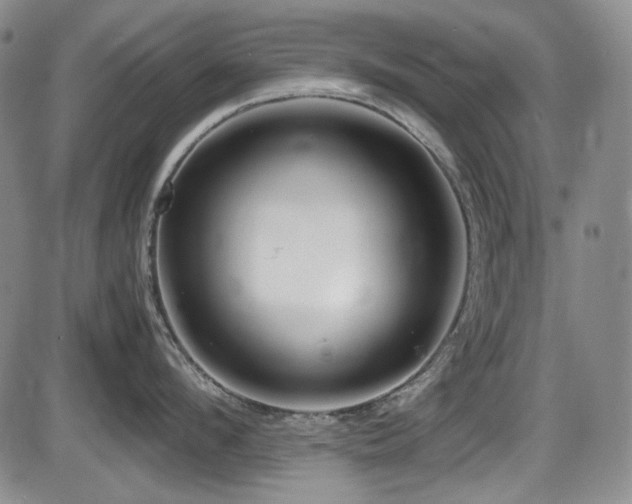 X0000086280912200703291458