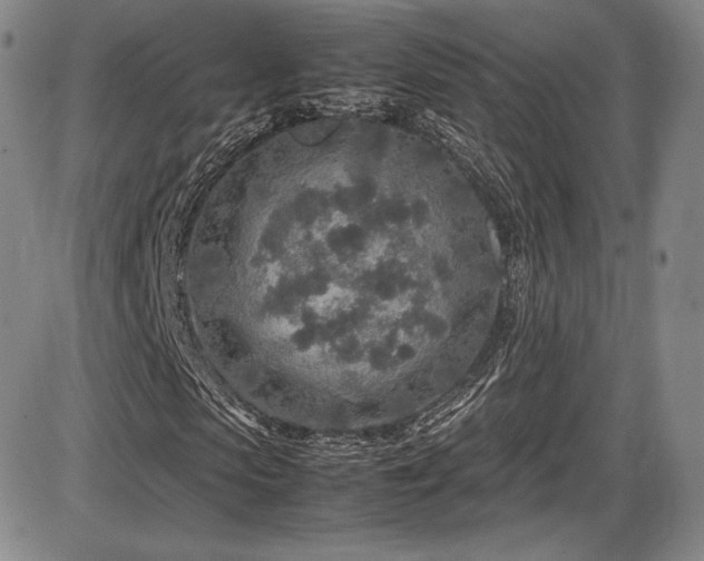 X0000086280913200703291457