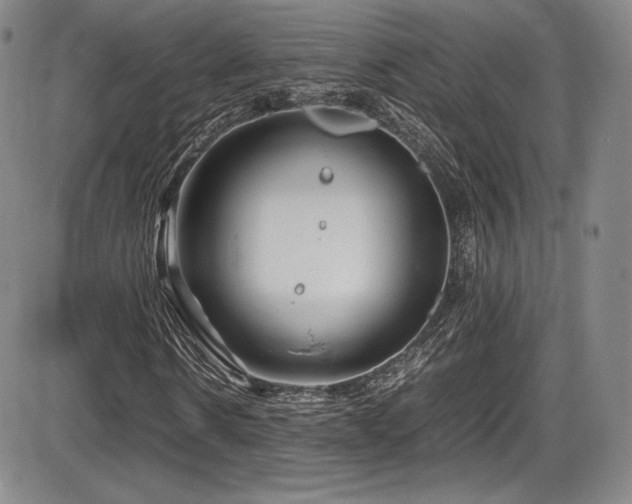 X0000086280914200703291457
