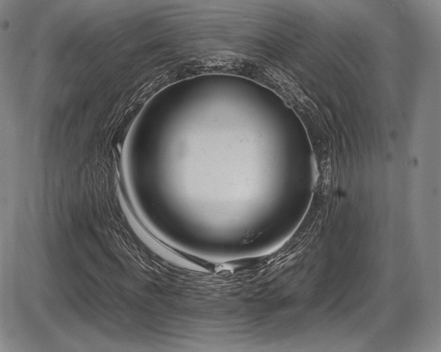 X0000086280916200703291457