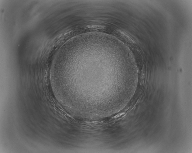 X0000086280917200703291457