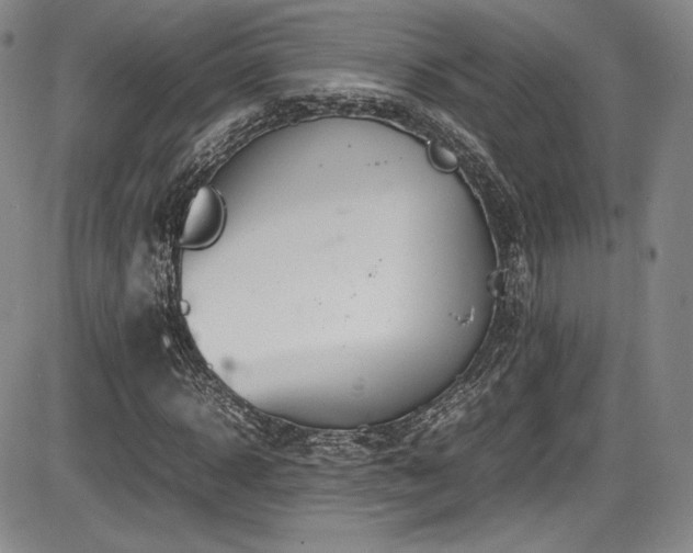X0000086280918200703291457