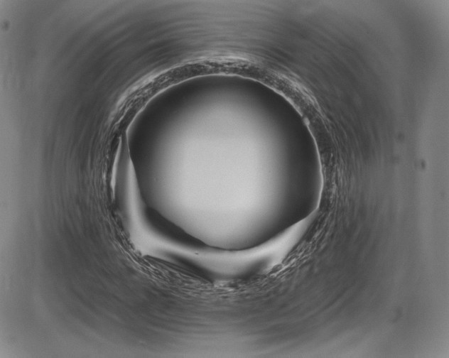 X0000086280920200703291457