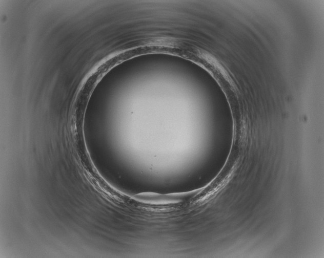 X0000086280923200703291457