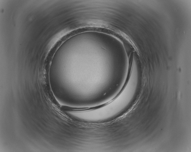 X0000086280926200703291457