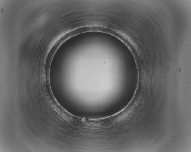 X0000086280927200703291457