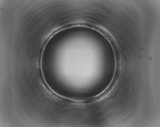 X0000086280929200703291457