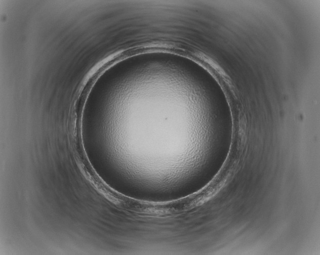 X0000086280933200703291457