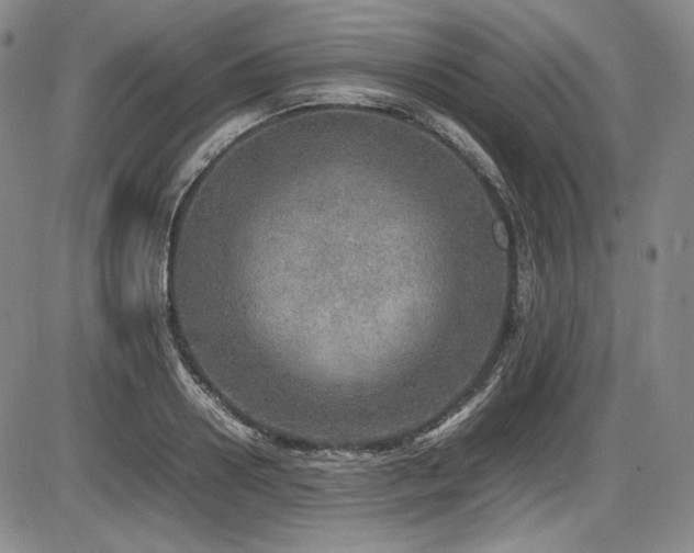 X0000086280938200703291457
