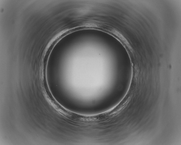 X0000086280939200703291457