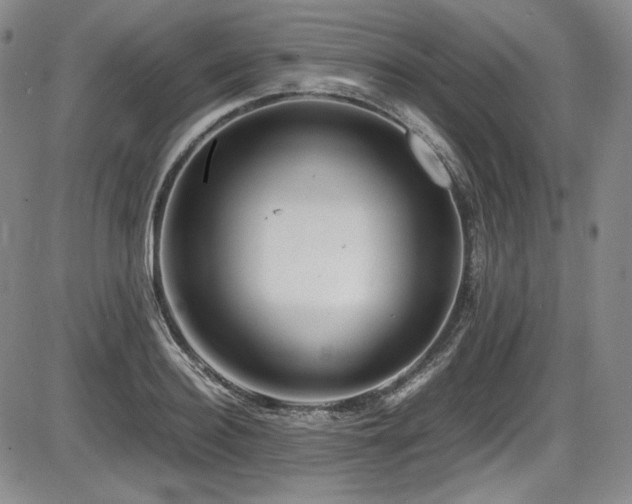 X0000086280940200703291457