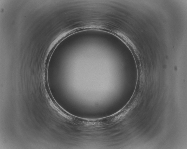 X0000086280941200703291457