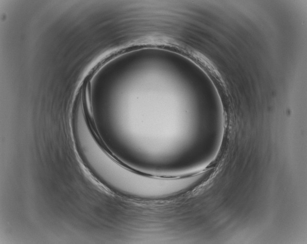 X0000086280942200703291457