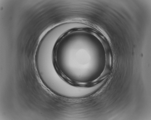 X0000086280944200703291458