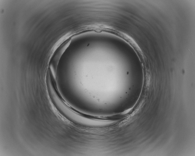 X0000086280946200703291458