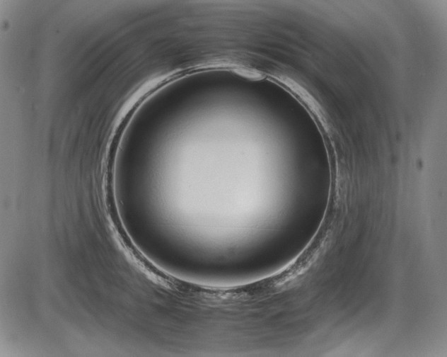 X0000086280949200703291458