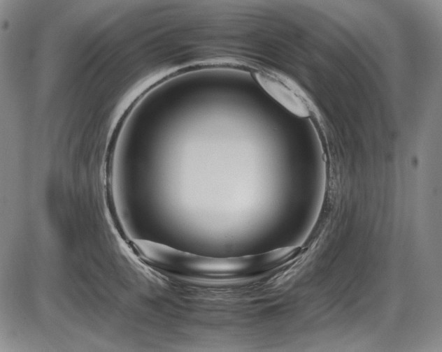 X0000086280951200703291458