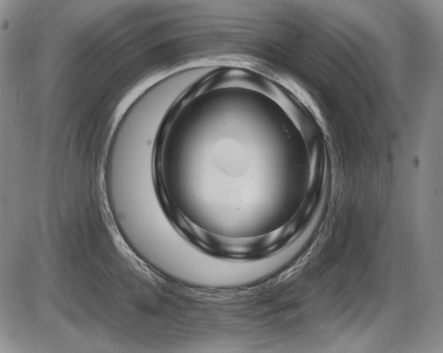 X0000086280952200703291458